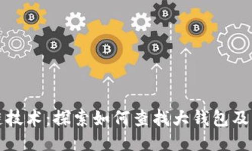 区块链技术：探索如何查找大钱包及其影响