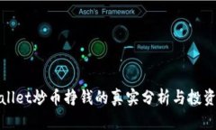 tpWallet炒币挣钱的真实分析