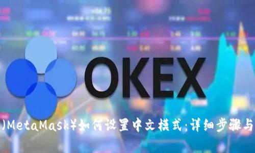 狐狸钱包（MetaMask）如何设置中文模式：详细步骤与注意事项