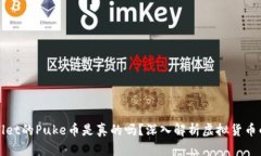 tpWallet的Puke币是真的吗？
