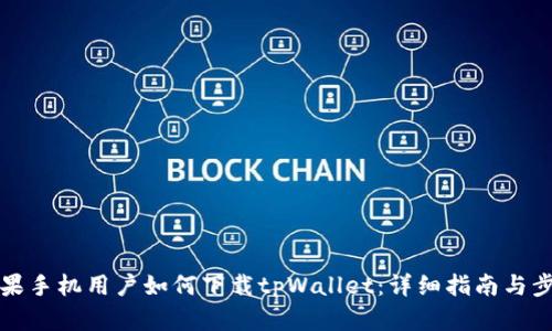苹果手机用户如何下载tpWallet：详细指南与步骤