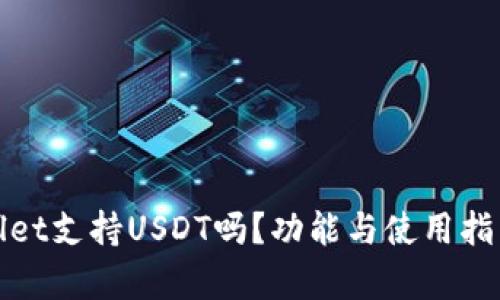 tpWallet支持USDT吗?功能与使用指南详解