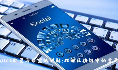 tpWallet能量与带宽的详解:理解区块链中的重要概念