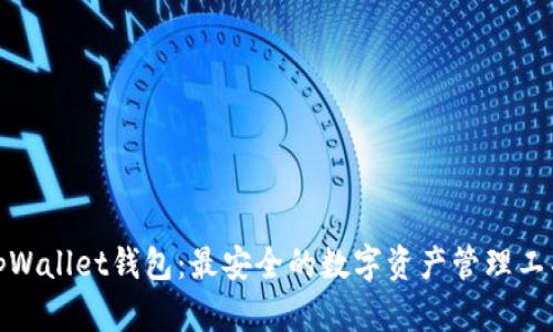 tpWallet钱包:最安全的数字资产管理工具