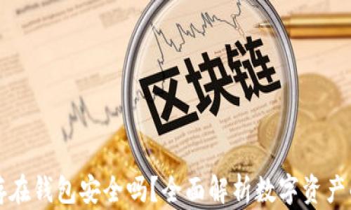 虚拟币存在钱包安全吗?全面解析数字资产的安全性