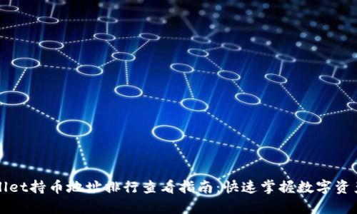 tpWallet持币地址排行查看指南:快速掌握数字资产分布