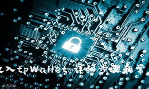 如何将币放入tpWallet:详细步骤和常见问题解答