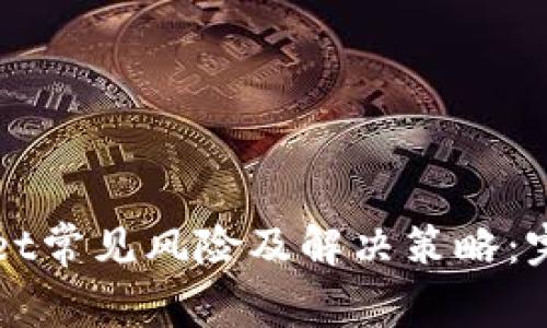 tpWallet常见风险及解决策略:完全指导
