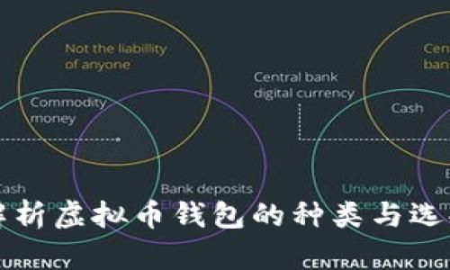全面解析虚拟币钱包的种类与选择指南