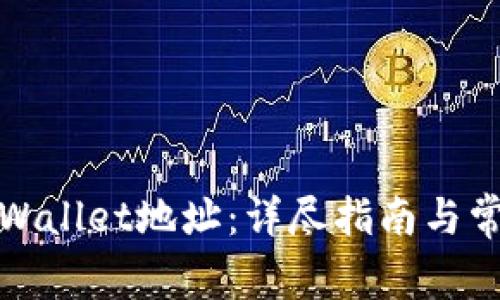 如何修改tpWallet地址:详尽指南与常见问题解答