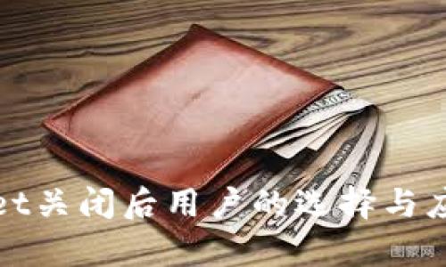 tpWallet关闭后用户的选择与应对策略