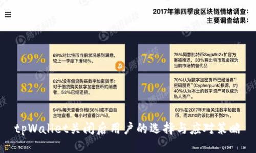 tpWallet关闭后用户的选择与应对策略