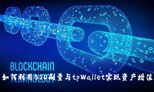 如何利用BSD刷量与tpWallet实现资产增值