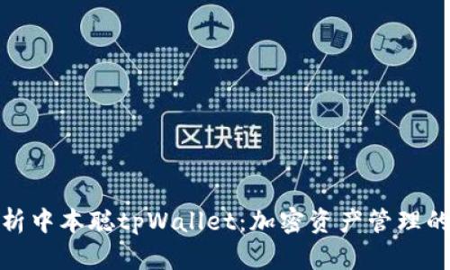 全面解析中本聪tpWallet:加密资产管理的新选择