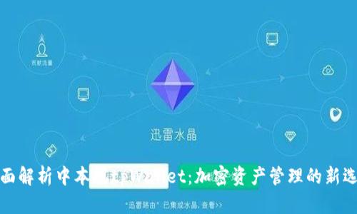全面解析中本聪tpWallet:加密资产管理的新选择