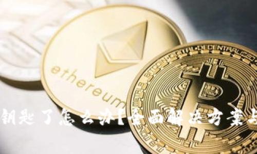 tpWallet忘记钥匙了怎么办?全面解决方案与常见问题解析
