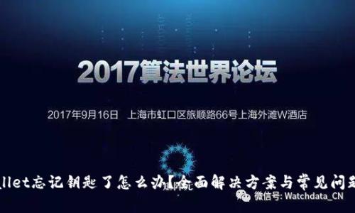 tpWallet忘记钥匙了怎么办?全面解决方案与常见问题解析