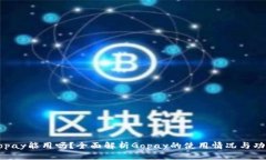 Gopay能用吗？全面解析Go