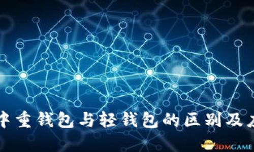 区块链中重钱包与轻钱包的区别及应用详解