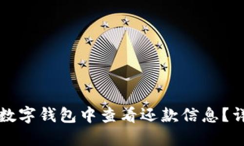 如何在数字钱包中查看还款信息?详细指南
