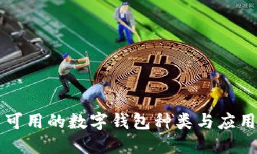 中国可用的数字钱包种类与应用详解