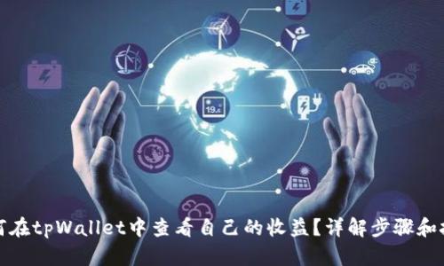 如何在tpWallet中查看自己的收益?详解步骤和技巧