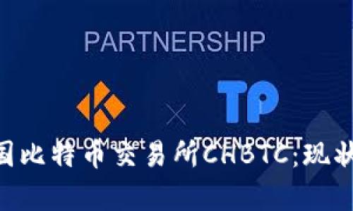 深入解析中国比特币交易所CHBTC：现状、挑战与展望