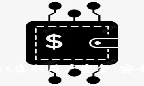 如何防止tpWallet盗取用户资金:安全指南与防范措施
