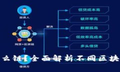 : 开通数字钱包用什么链？全面解析不同区块链数