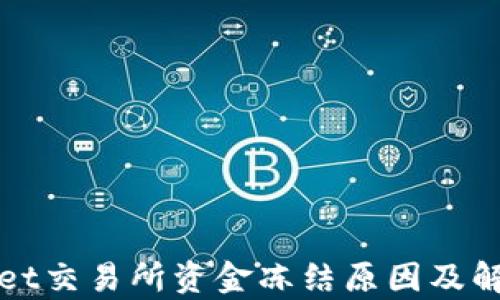 
tpWallet交易所资金冻结原因及解决方案