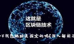 泰达币（Tether）钱包地址是固定的吗？深入解析