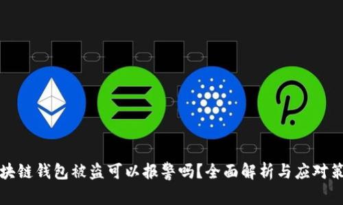 区块链钱包被盗可以报警吗？全面解析与应对策略