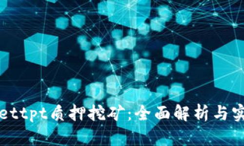 tpWallettpt质押挖矿：全面解析与实践指南