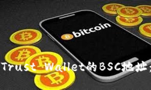 如何获取Trust Wallet的BSC地址：完整指南