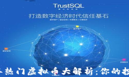 
2023年热门虚拟币大解析：你的投资指南